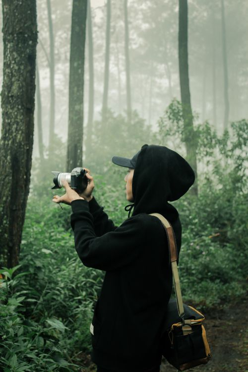 Free A man photographing in a misty forest in Jawa Tengah, Indonesia. Stock Photo