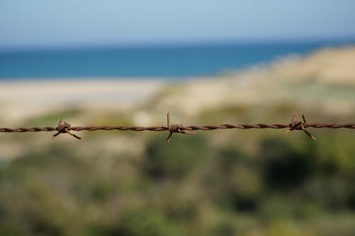 A Close-up Shot of a Rusted Barbed Wire