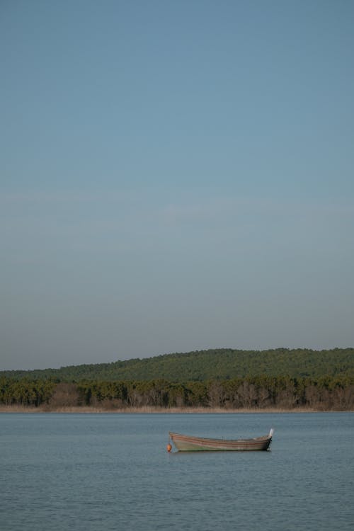 Foto profissional grátis de água, barco, céu azul claro