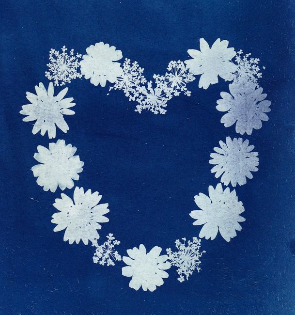Artistic arrangement of flowers in a heart shape on a blue background.