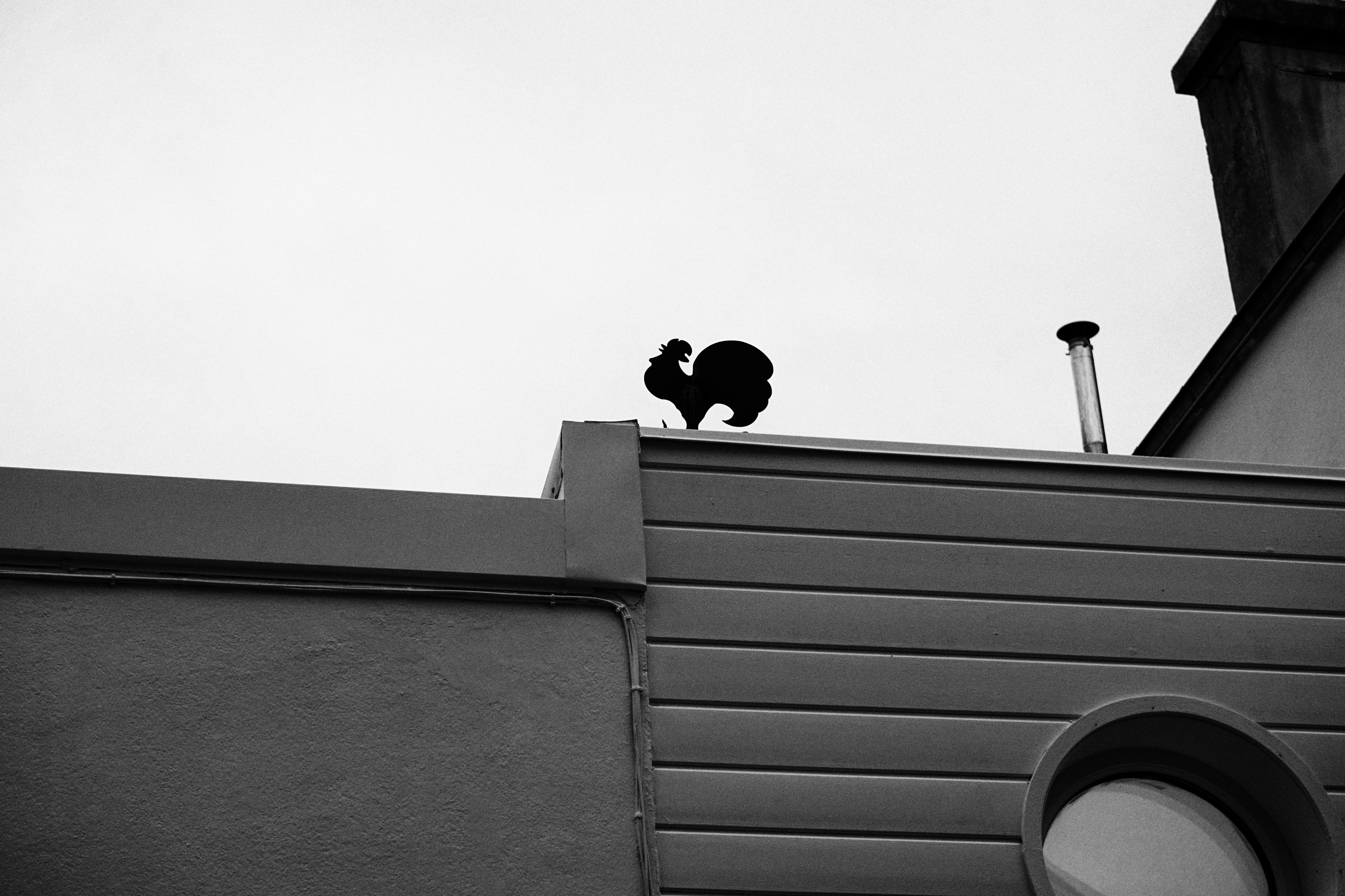 Grayscale Photo of a Building · Free Stock Photo