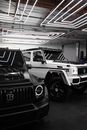 Motor Vehicles Parked in the Garage