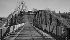 Grayscale Photo of Bridge in Between Bare Trees