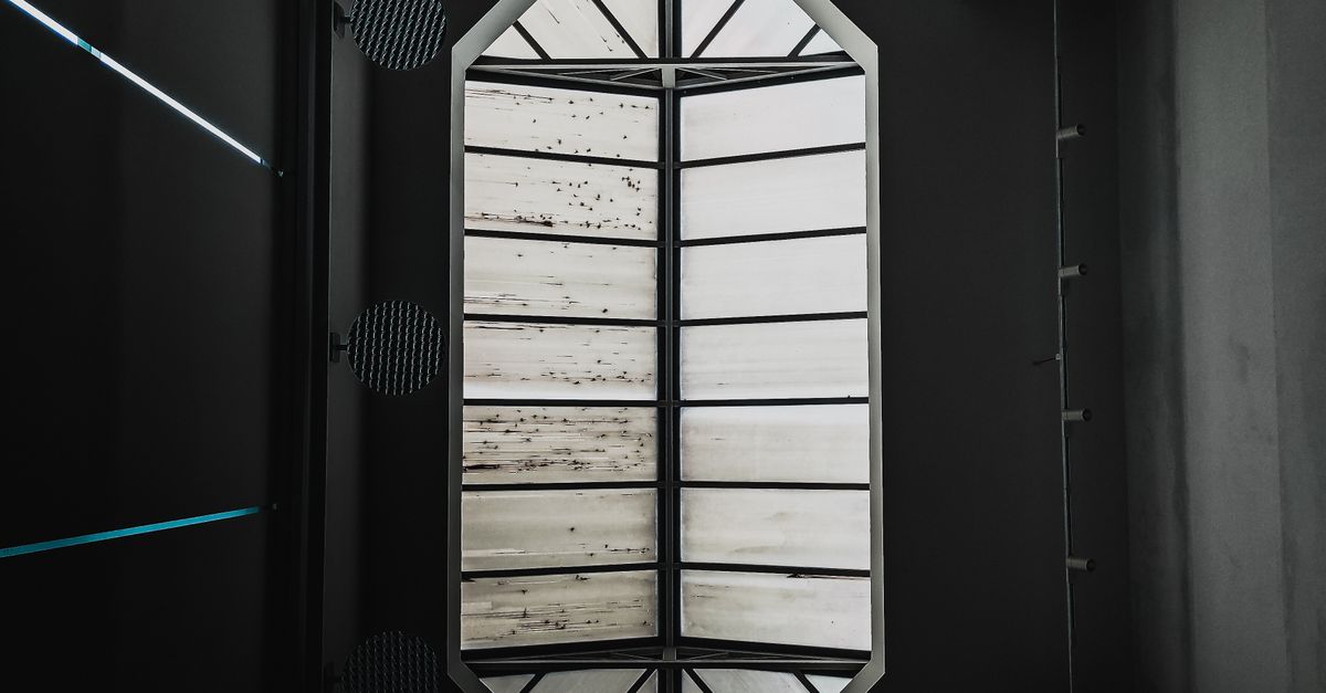 Window Simetric Image A Symmetric Glass Window · Free Stock Photo