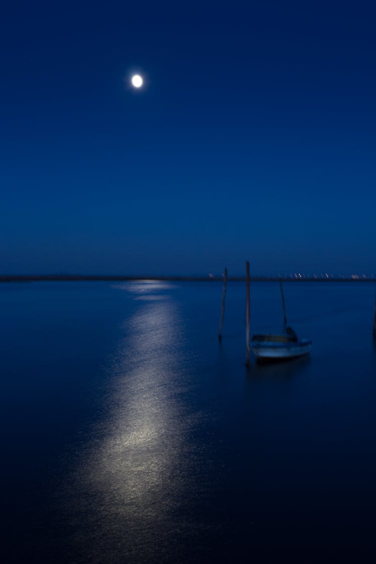 Moonlight Over Lake