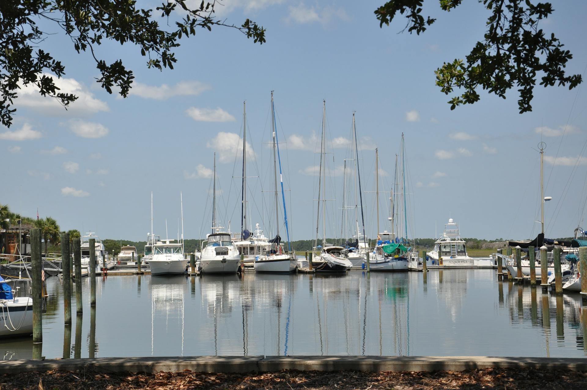 Scenic marina in Florida with sailboats and yachts docked on a peaceful day.