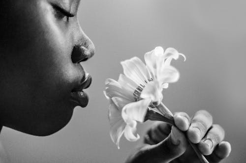 Gratis lagerfoto af afroamerikansk person, duftende, gråtonefotografering Lagerfoto