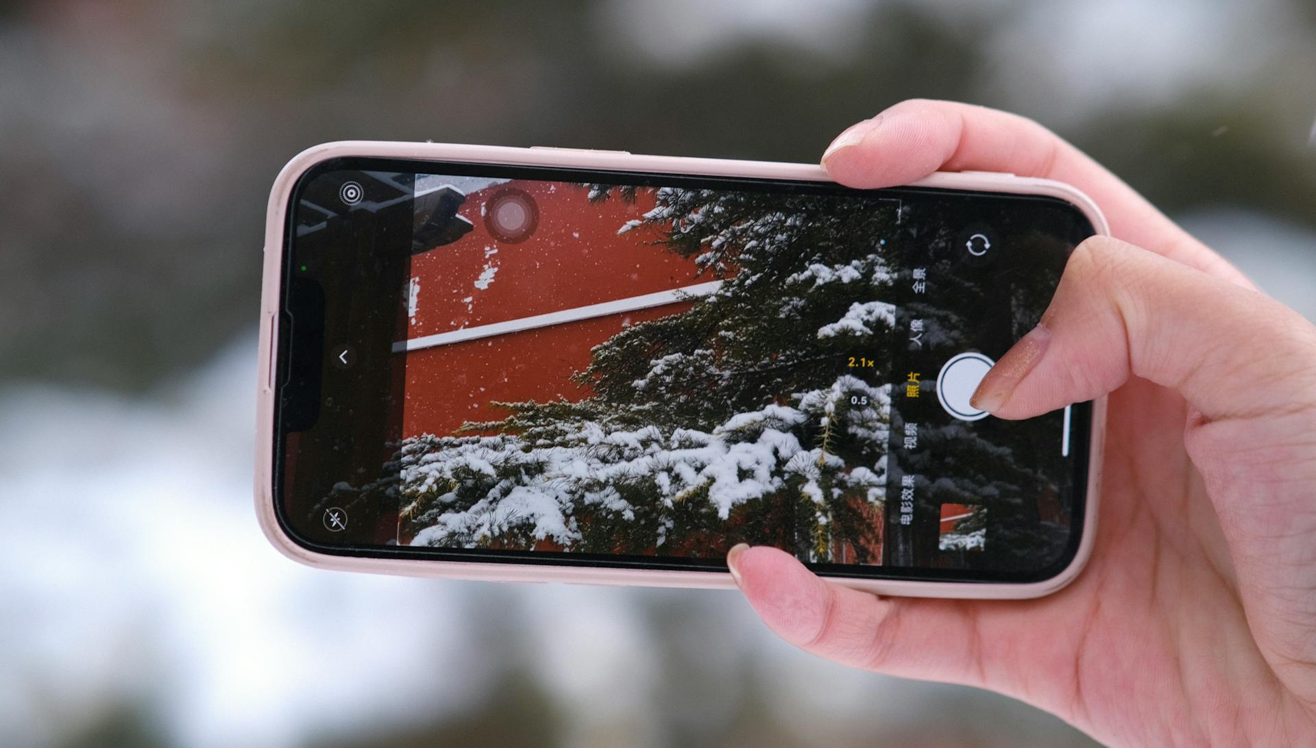 Close-up of a smartphone capturing snowy branches in Beijing outdoor scene.