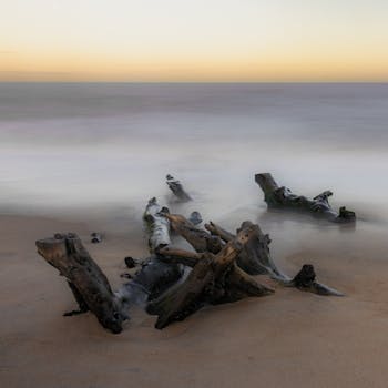 Long exposure of driftwood on a tranquil beach at sunset, capturing the calm ocean and sandy shore.