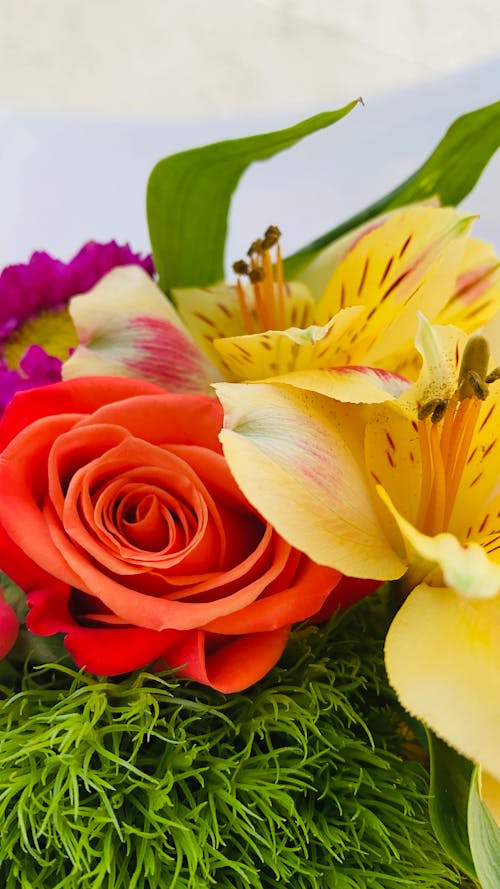 Bunch of Flowers in Close Up Photography