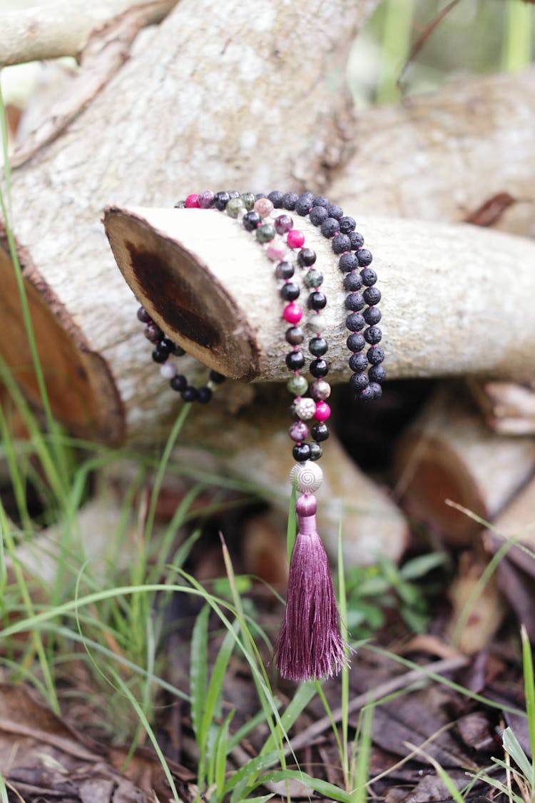 Mala Beads On Brown Tree Brach