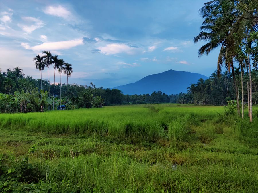 The monsoon fortnight