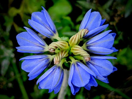 Fotos de stock gratuitas de azul, belleza de la naturaleza, belleza natural