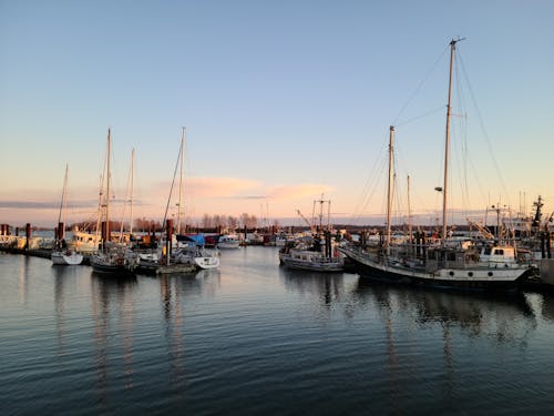 бесплатная Бесплатное стоковое фото с вода, гавань, закат Стоковое фото