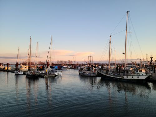 Rotterdam Harbor 