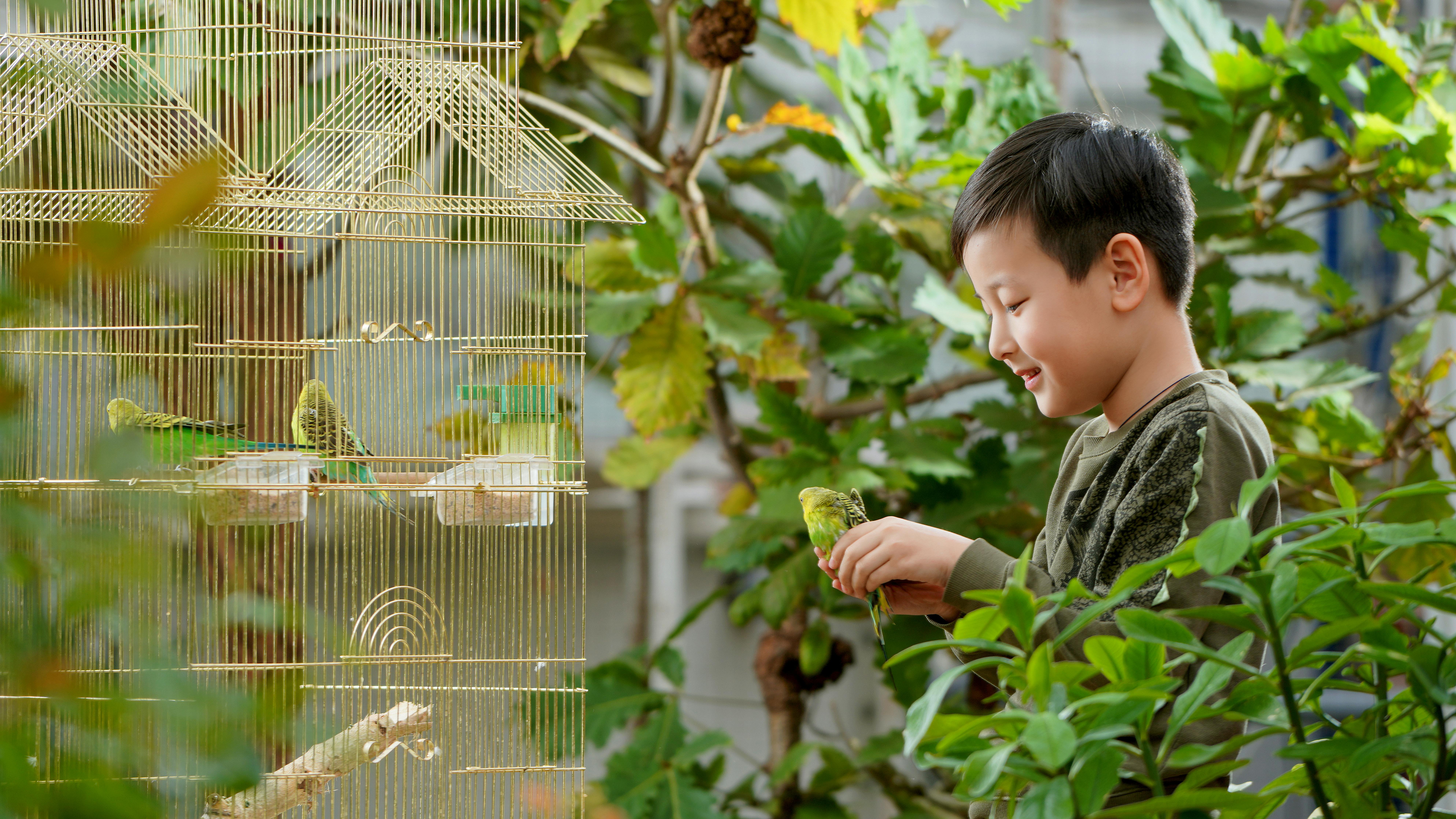 Innovations In Bird Cage Accessories