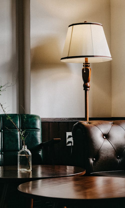 Lamp Behind Brown Couch