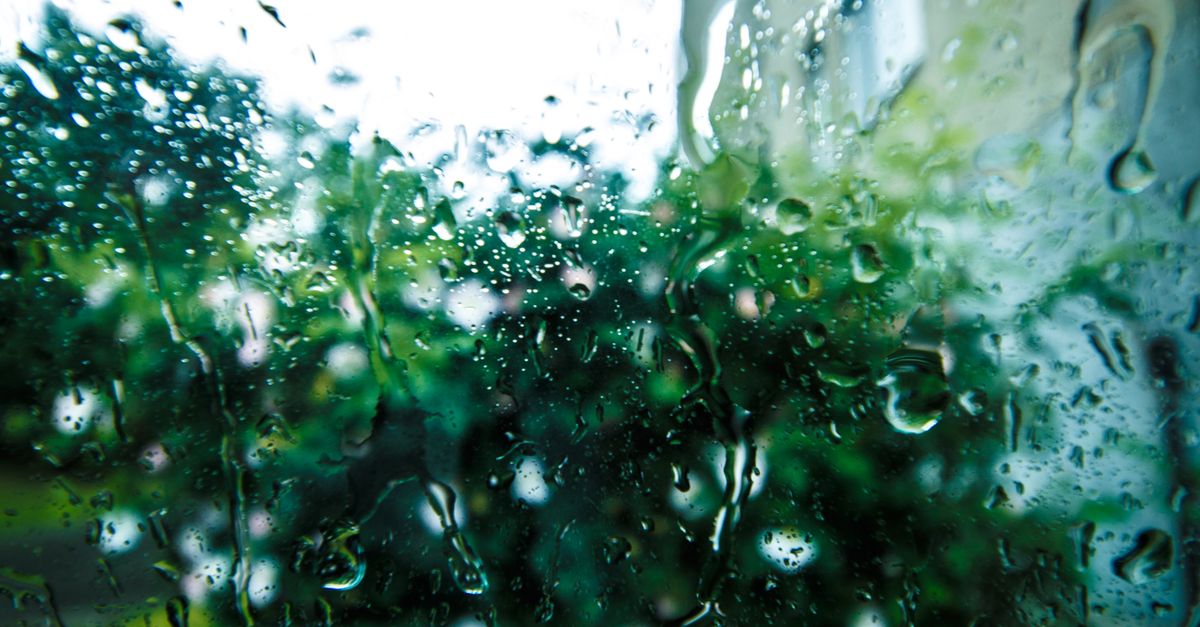 窓ガラスについた雨のしずくと、ぼんやりかすむ緑のイメージ。梅雨の湿気を感じさせる写真