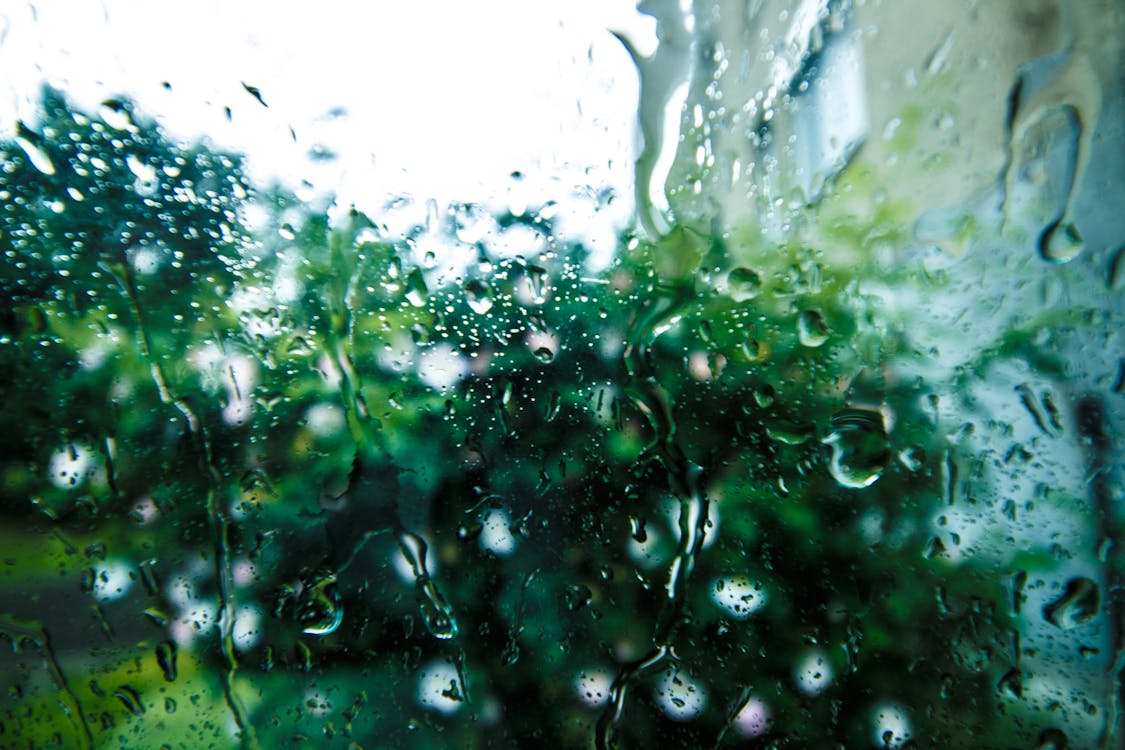 無料 日中のガラス面への雨滴 写真素材