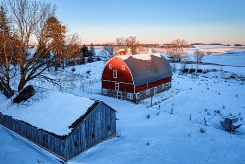 Immagine gratuita di alberi spogli, azienda agricola, coperto di neve