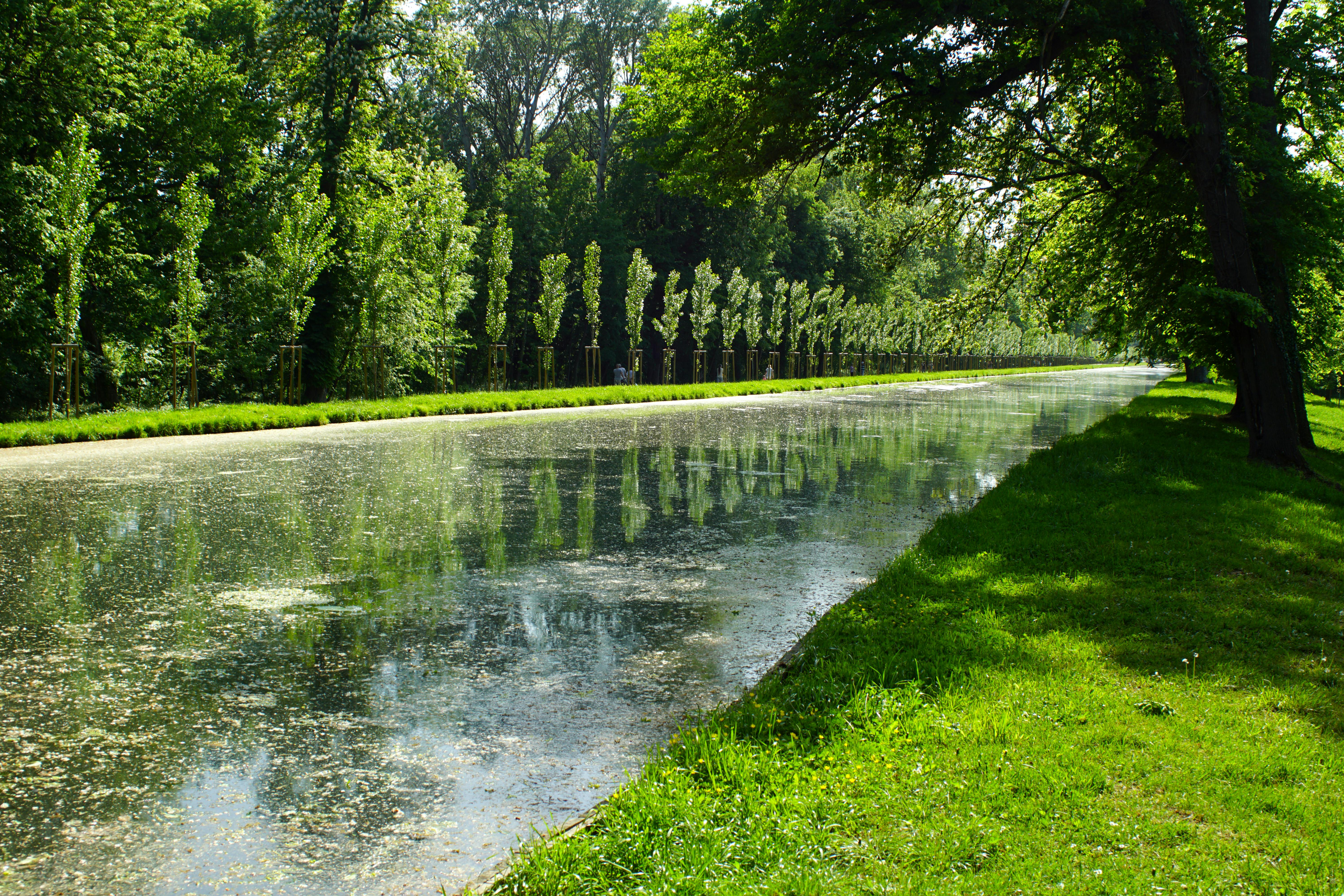 Download Pink And Yellow Mask Free Stock Photo PSD Mockup Templates