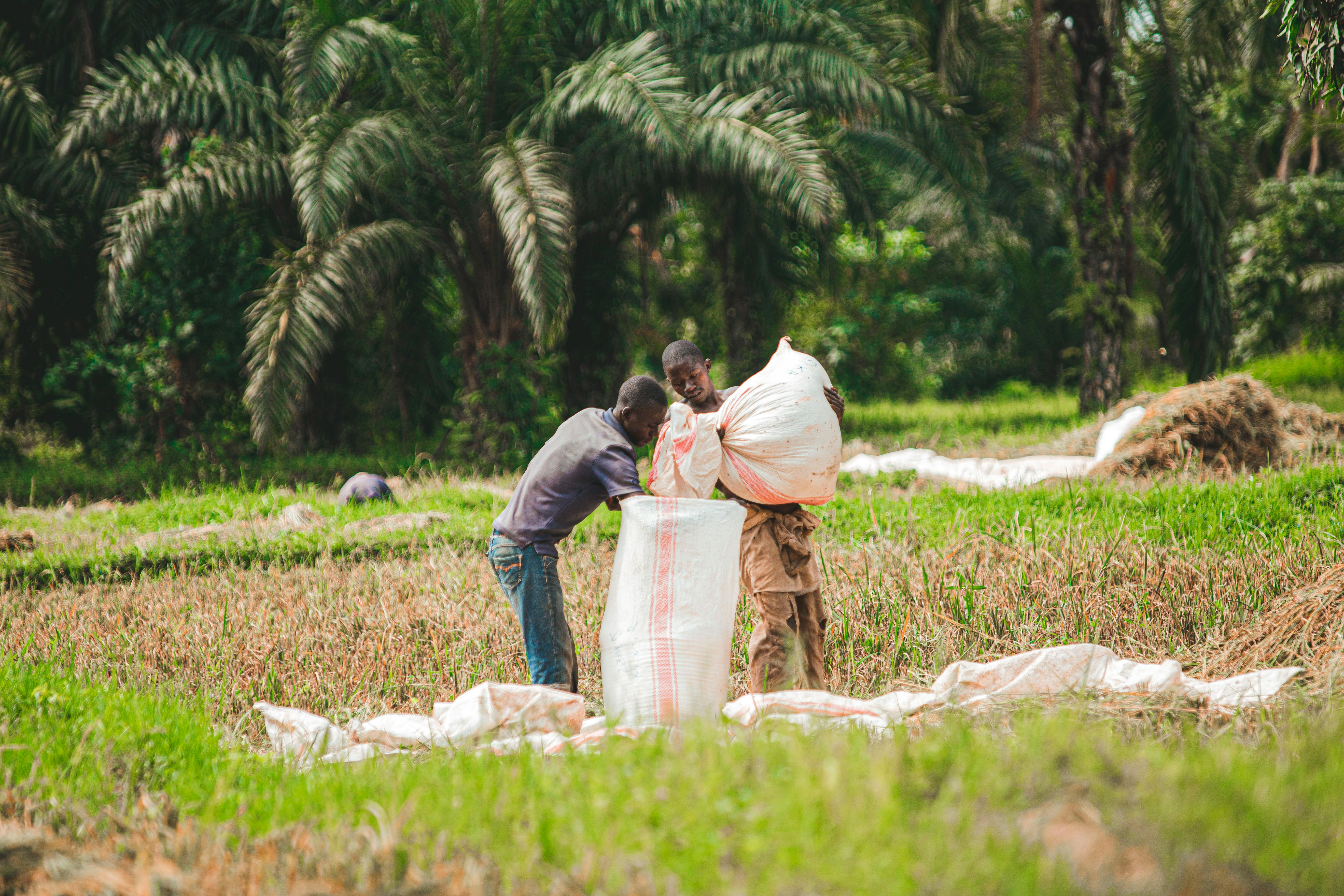 From Policy to Practice: Burkina Faso Strengthens Early Warning Systems and Climate Resilience — Photo by Safari  Consoler on