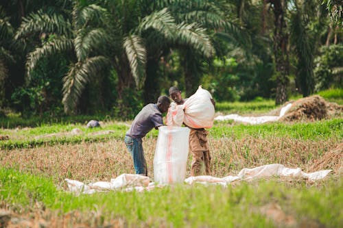 People Working on the Farm Field