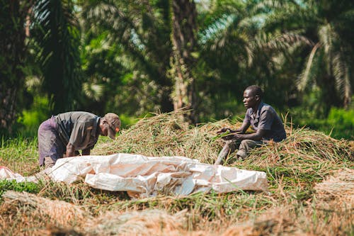 Farmers Working on Green Field