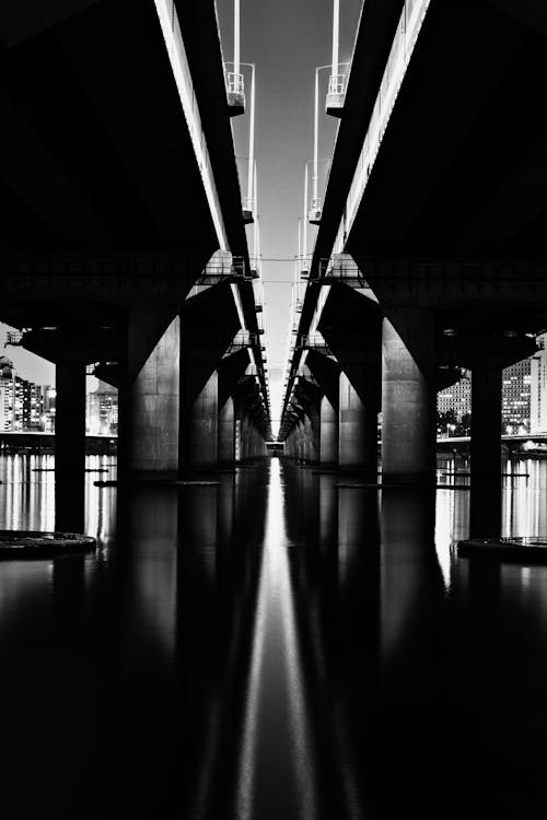 Fotografia Em Escala De Cinza Da Ponte