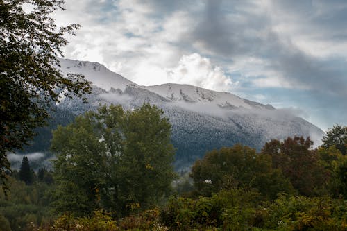 Gratis Foto stok gratis alam, berkabut, gunung Foto Stok