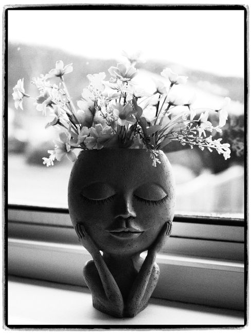 Black and white photo of a vase with floral arrangement, artistic and elegant.