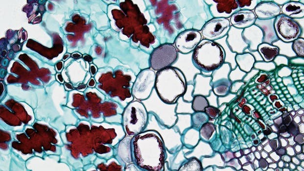 Colorful plant cell structure under microscope exhibiting detailed biology patterns.