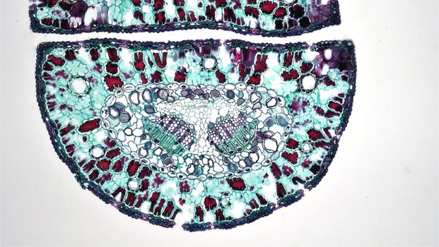 Close up of Abstract Pattern