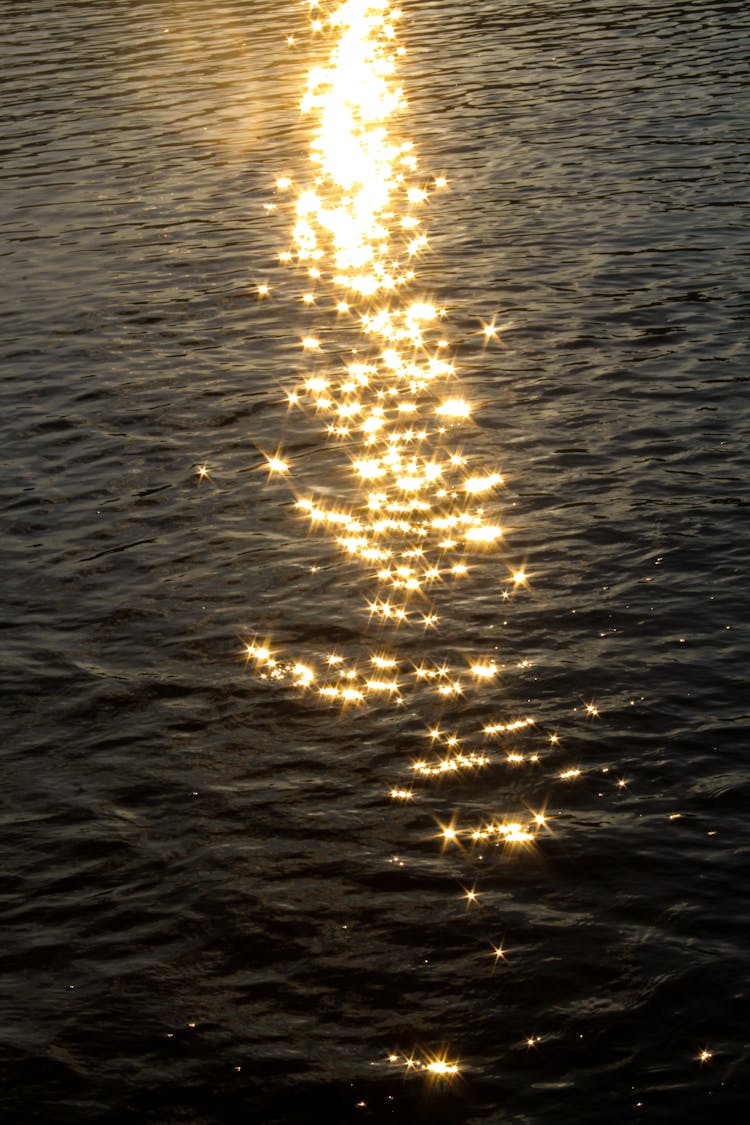 Sun Glint On The Water 