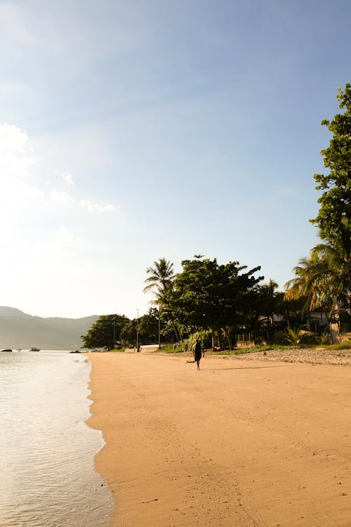 A Person Walking on the Beach