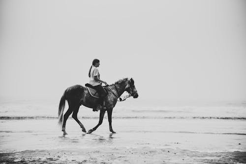 Grayscale Photo of a Person in the Beach Riding a Horse 
