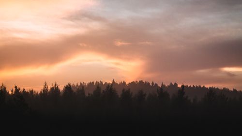 Free Serene forest silhouette against a vibrant sunset sky, capturing nature's beauty. Stock Photo