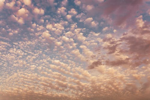 Free A scenic sky filled with puffy clouds during a vibrant golden sunset. Stock Photo