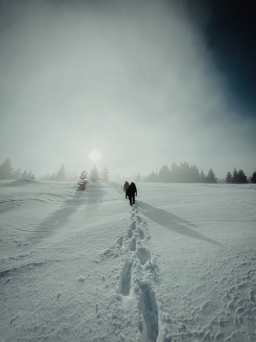 People Walking on Snow Covered Ground