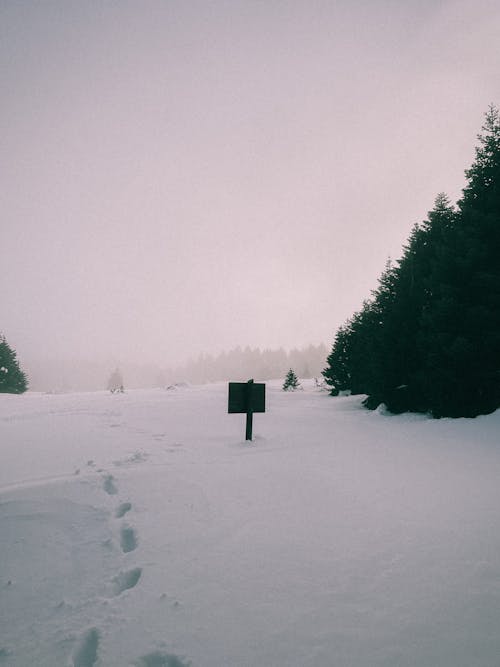 Black Wooden Signage on Snow Covered Ground