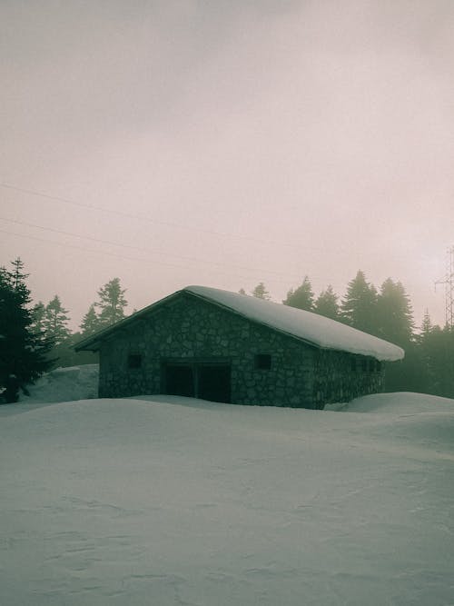 Darmowe zdjęcie z galerii z dom, duże opady śniegu, pionowy strzał