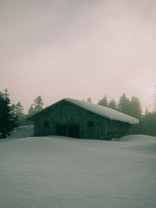 Photos gratuites de beaucoup de neige, couvert de neige, hiver