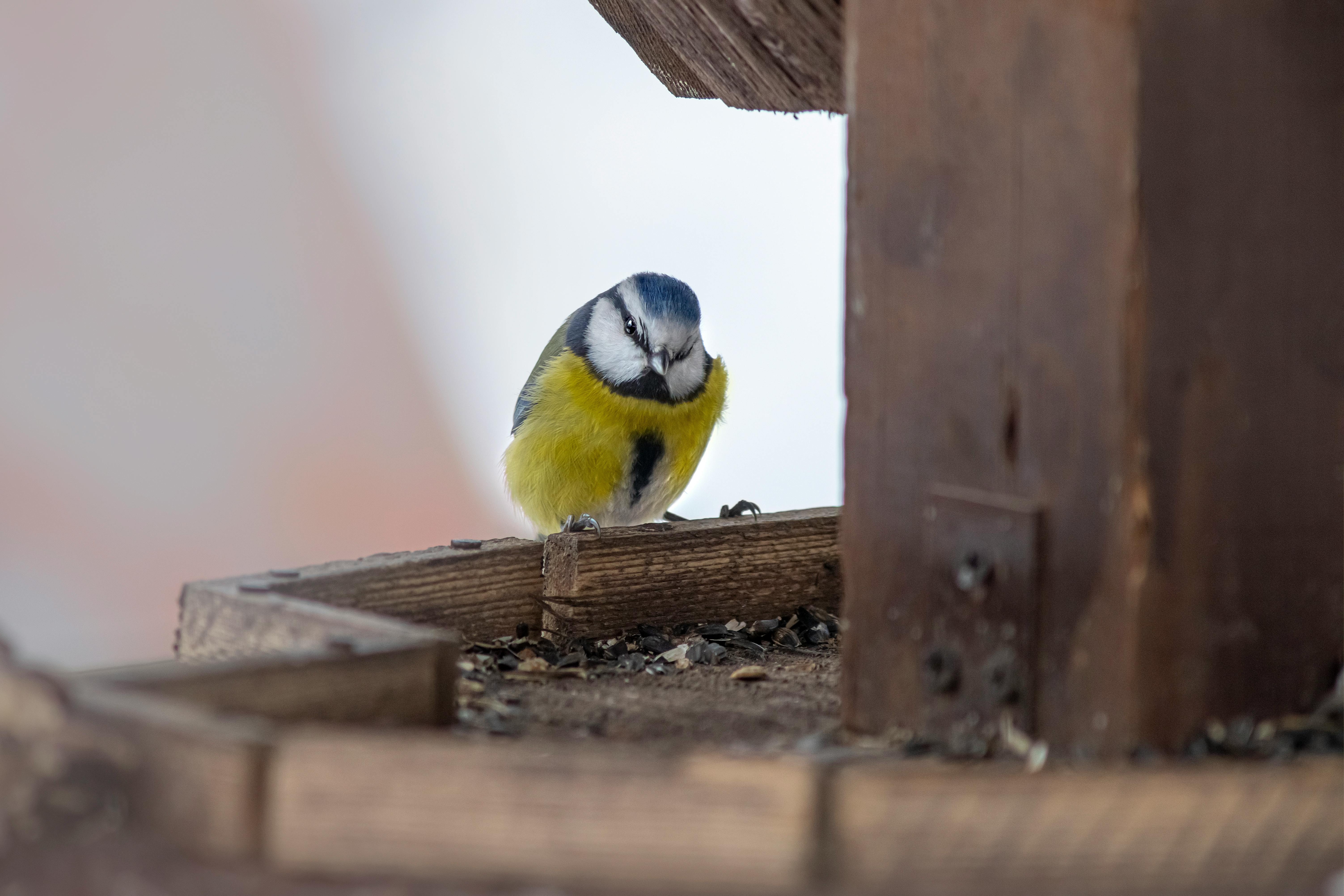 Zonenplanung im Garten