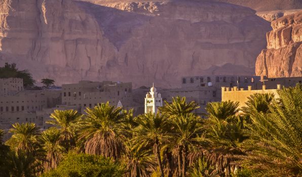 Palm Trees and Buildings in Yemen