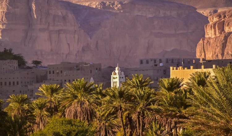 Palm Trees And Buildings In Yemen