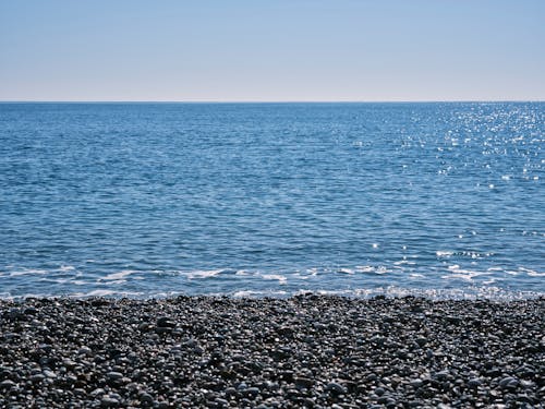 Rocky Shore