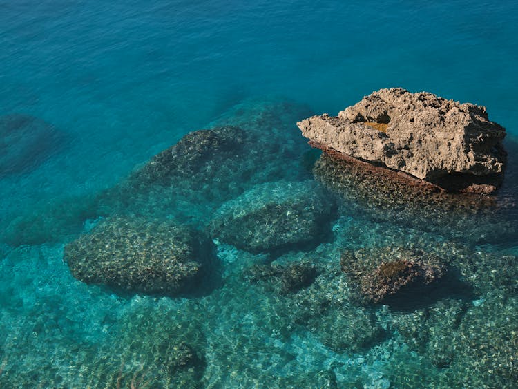 Visible Coral On A Clear Seawater 