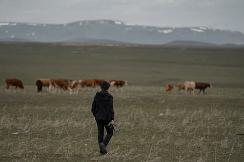 Photo of a Photographer Walking on a Field
