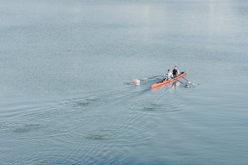 Foto d'estoc gratuïta de barca, canoa, conduint