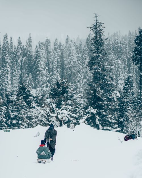 Free Two people enjoy sledding in a snow-covered forest near Srinagar, capturing a serene winter adventure. Stock Photo